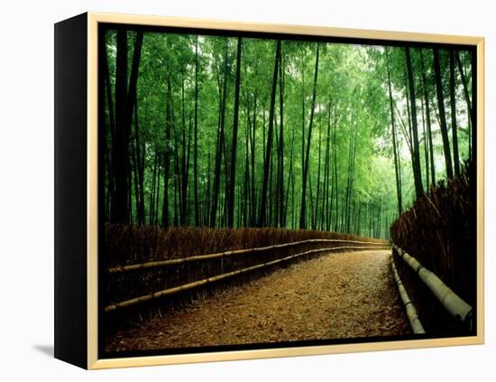 Bamboo Lane, Nishiyama, Kyoto, Japan-null-Framed Premier Image Canvas