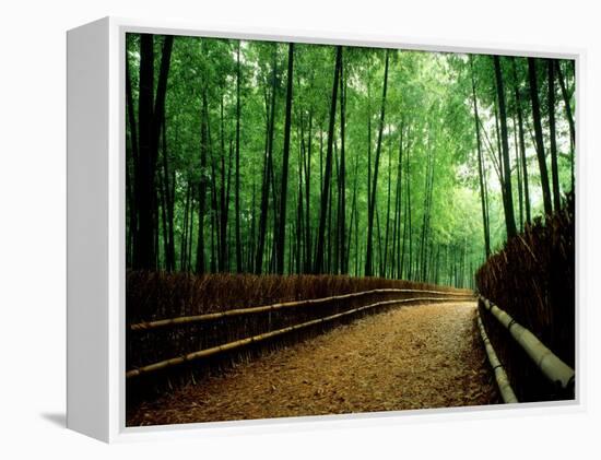 Bamboo Lane, Nishiyama, Kyoto, Japan-null-Framed Premier Image Canvas