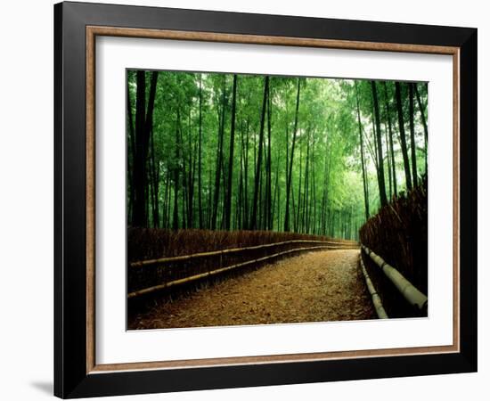 Bamboo Lane, Nishiyama, Kyoto, Japan-null-Framed Photographic Print