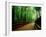 Bamboo Lane, Nishiyama, Kyoto, Japan-null-Framed Photographic Print