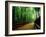 Bamboo Lane, Nishiyama, Kyoto, Japan-null-Framed Photographic Print