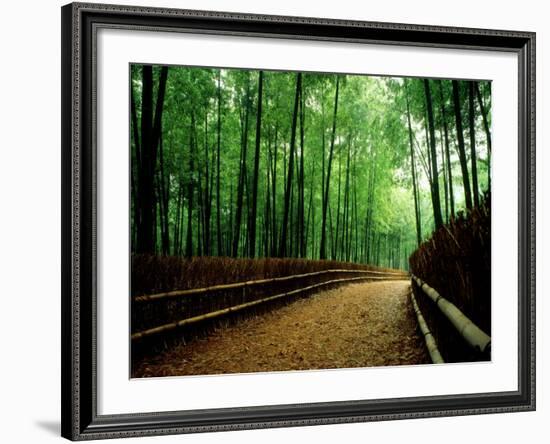 Bamboo Lane, Nishiyama, Kyoto, Japan-null-Framed Photographic Print