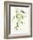 Bamboo Leaves IV Green-Danhui Nai-Framed Art Print