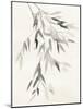 Bamboo Leaves IV-Danhui Nai-Mounted Art Print