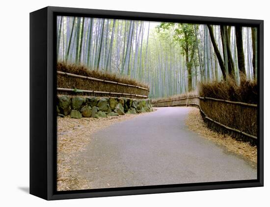 Bamboo Line, Kyoto, Japan-Shin Terada-Framed Premier Image Canvas