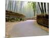 Bamboo Line, Kyoto, Japan-Shin Terada-Mounted Photographic Print