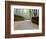 Bamboo Line, Kyoto, Japan-Shin Terada-Framed Photographic Print