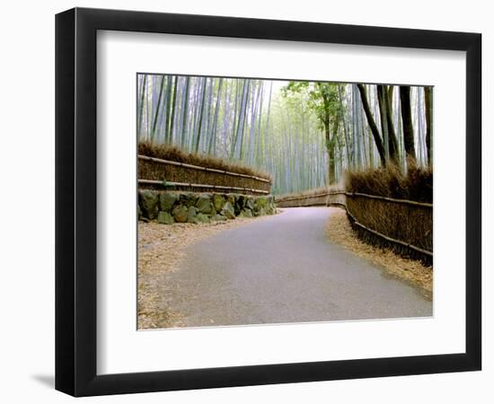 Bamboo Line, Kyoto, Japan-Shin Terada-Framed Photographic Print