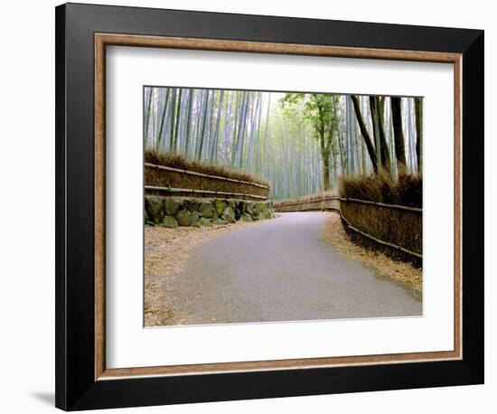 Bamboo Line, Kyoto, Japan-Shin Terada-Framed Photographic Print
