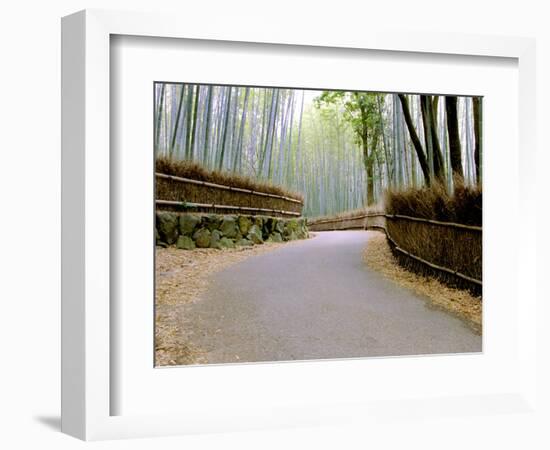 Bamboo Line, Kyoto, Japan-Shin Terada-Framed Photographic Print