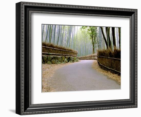 Bamboo Line, Kyoto, Japan-Shin Terada-Framed Photographic Print