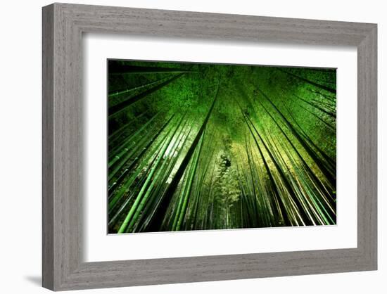 Bamboo Night-null-Framed Art Print