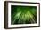 Bamboo Night-null-Framed Art Print