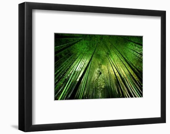 Bamboo Night--Framed Art Print