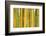 Bamboo occurs in the Zhejiang Province of China-Edwin Giesbers-Framed Photographic Print