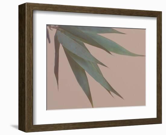 Bamboo Pink IV-Renée Stramel-Framed Photographic Print