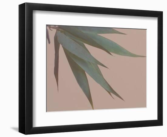 Bamboo Pink IV-Renée Stramel-Framed Photographic Print