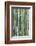 Bamboo plant, USA-Lisa S. Engelbrecht-Framed Photographic Print