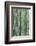 Bamboo plant, USA-Lisa S. Engelbrecht-Framed Photographic Print