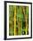 Bamboo Plants-Merrill Images-Framed Photographic Print