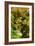 Bamboo Ravine, Maui-Vincent James-Framed Photographic Print