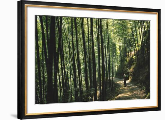 Bamboo Sea-Basil Pao-Framed Giclee Print