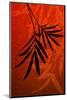 Bamboo Shade on Red I-Christine Zalewski-Mounted Art Print