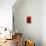 Bamboo Shade on Red II-Christine Zalewski-Premium Giclee Print displayed on a wall