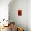 Bamboo Shade on Red II-Christine Zalewski-Mounted Art Print displayed on a wall