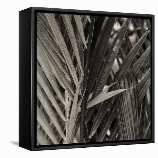 Bamboo Study I-Tang Ling-Framed Premier Image Canvas