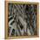 Bamboo Study II-Tang Ling-Framed Premier Image Canvas