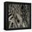 Bamboo Study II-Tang Ling-Framed Premier Image Canvas