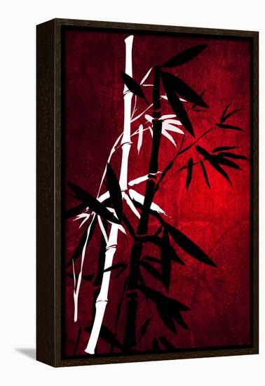Bamboo Style-Philippe Sainte-Laudy-Framed Premier Image Canvas
