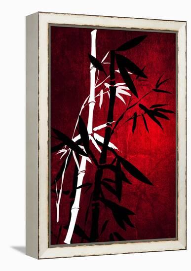 Bamboo Style-Philippe Sainte-Laudy-Framed Premier Image Canvas