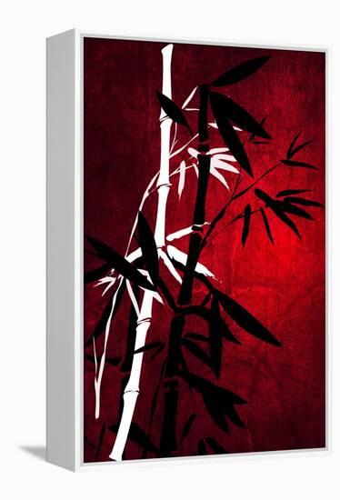 Bamboo Style-Philippe Sainte-Laudy-Framed Premier Image Canvas