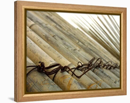 Bamboo Tied Together-null-Framed Premier Image Canvas