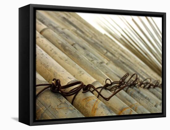 Bamboo Tied Together-null-Framed Premier Image Canvas