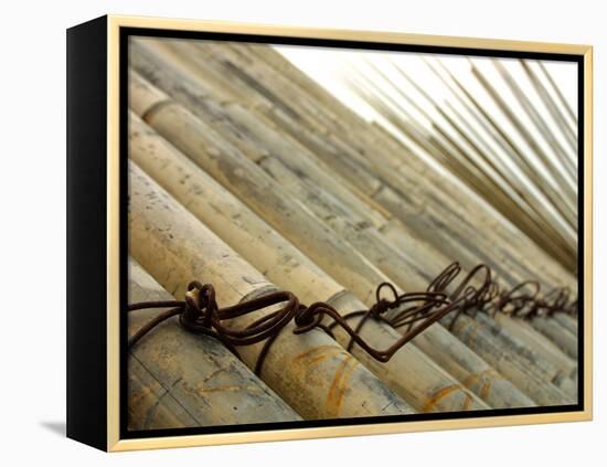 Bamboo Tied Together-null-Framed Premier Image Canvas