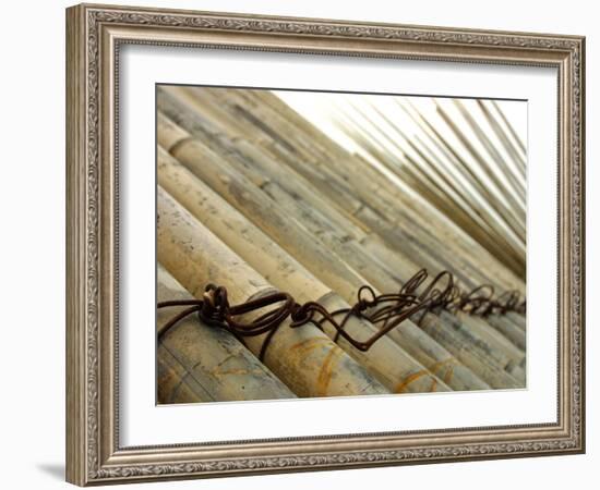 Bamboo Tied Together-null-Framed Photographic Print