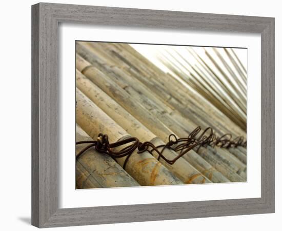 Bamboo Tied Together-null-Framed Photographic Print