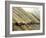 Bamboo Tied Together-null-Framed Photographic Print