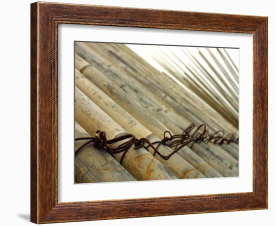 Bamboo Tied Together-null-Framed Photographic Print