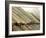 Bamboo Tied Together-null-Framed Photographic Print