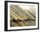 Bamboo Tied Together-null-Framed Photographic Print