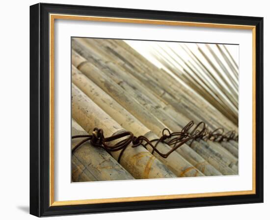 Bamboo Tied Together-null-Framed Photographic Print