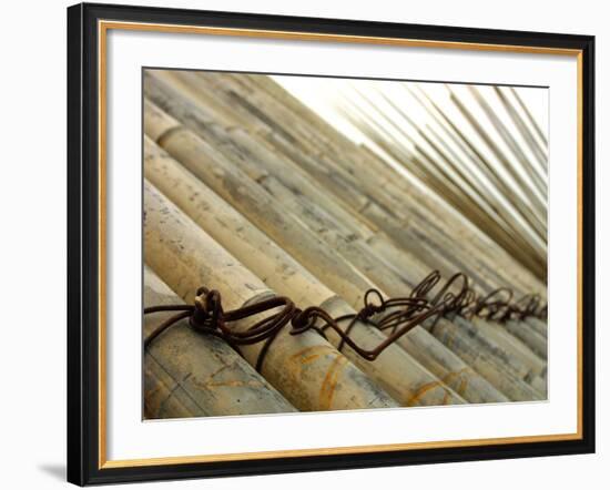 Bamboo Tied Together-null-Framed Photographic Print