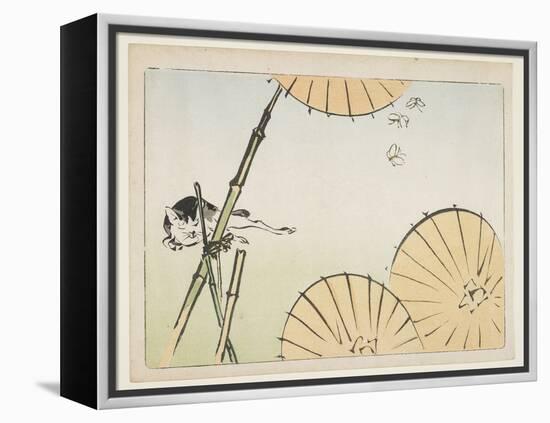 Bamboo, Umbrellas, a Cat and Butterflies, C. 1877-Shibata Zeshin-Framed Premier Image Canvas