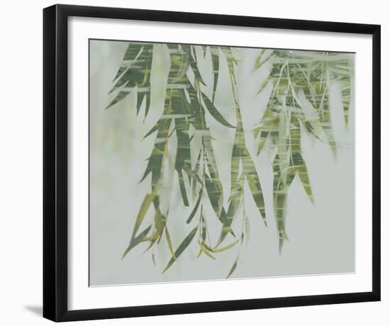 Bamboo Verde-Tania Bello-Framed Giclee Print