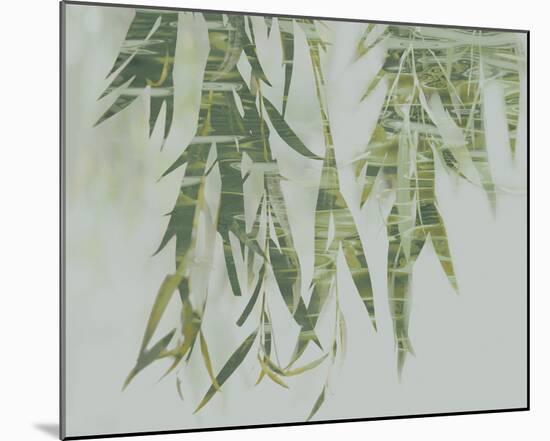 Bamboo Verde-Tania Bello-Mounted Giclee Print