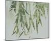 Bamboo Verde-Tania Bello-Mounted Giclee Print